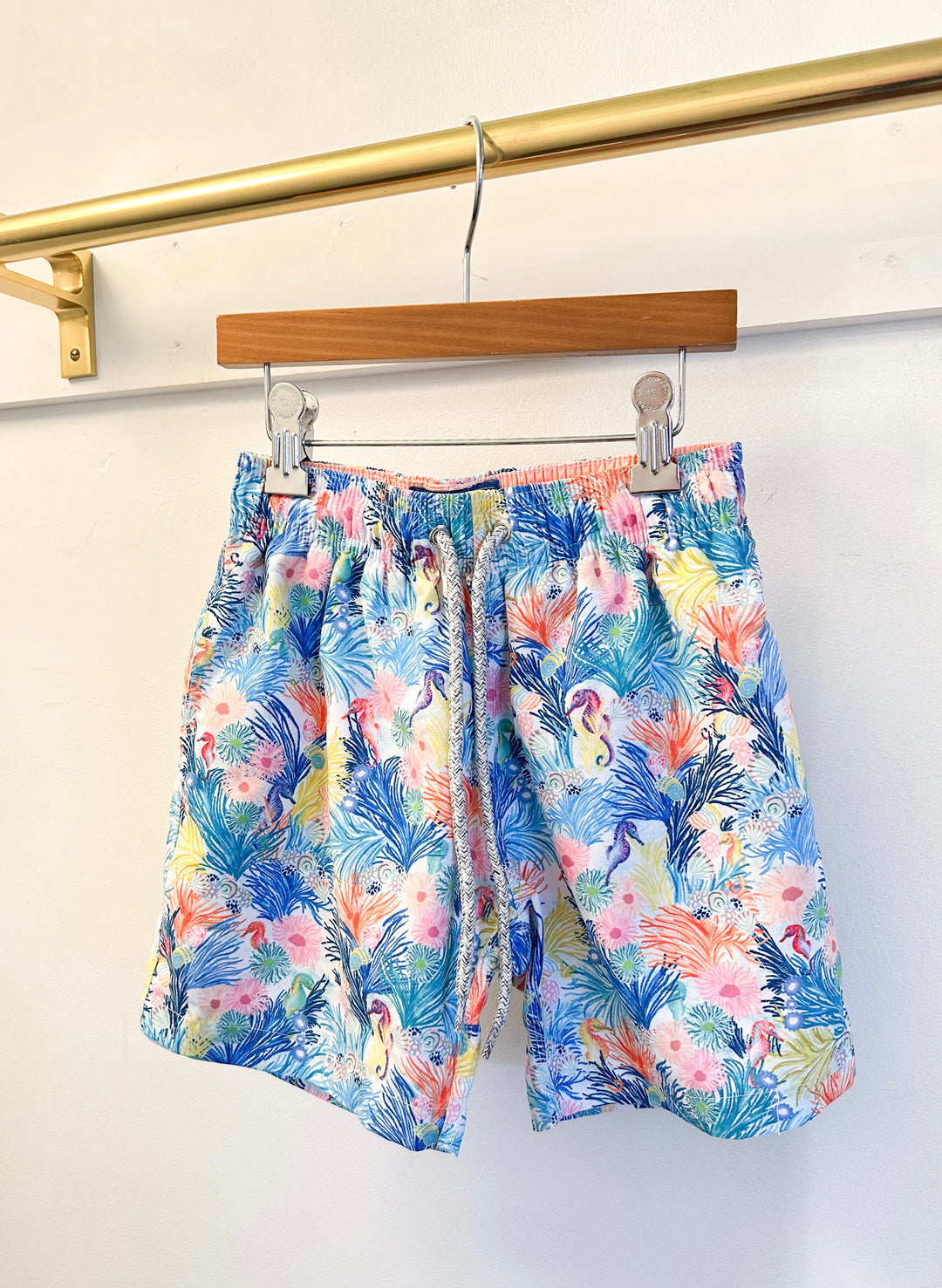 Michaels Seahorse Swim Trunks