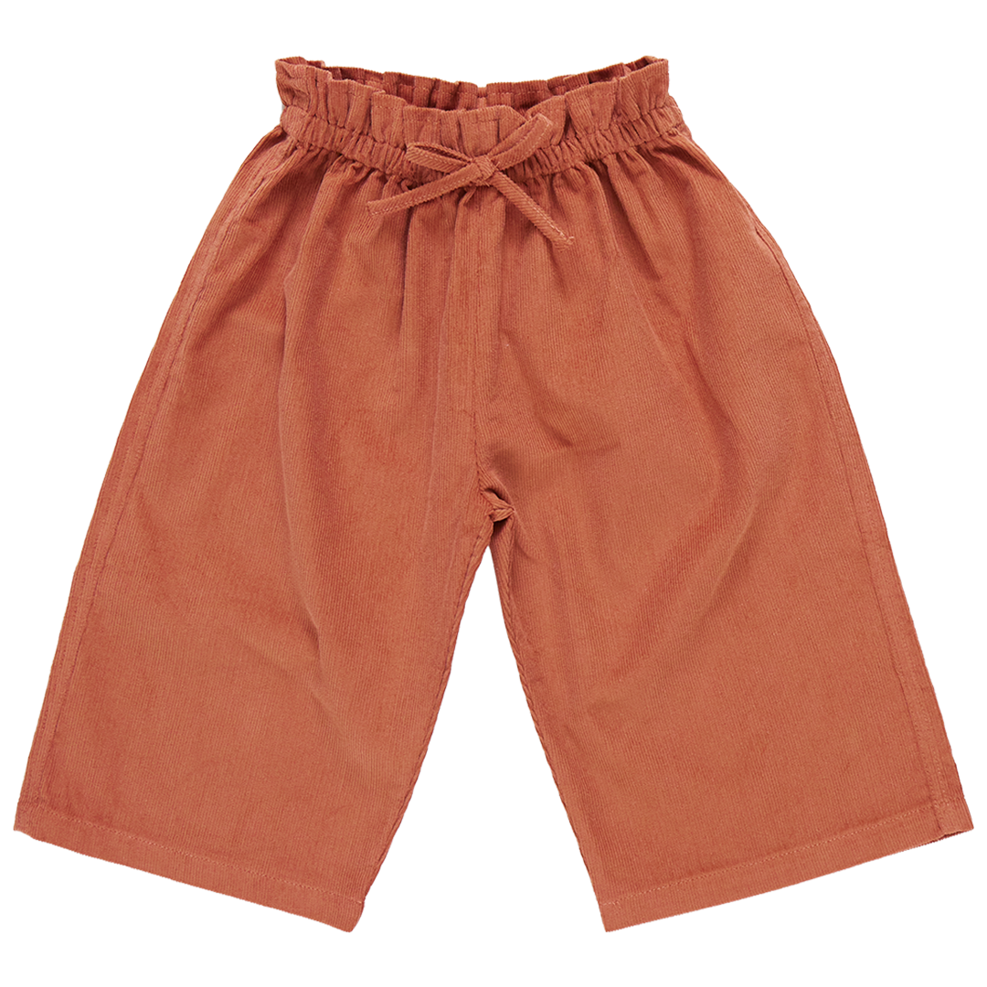 Pink Chicken Theodore Pant in Rust (sizes 4-6)