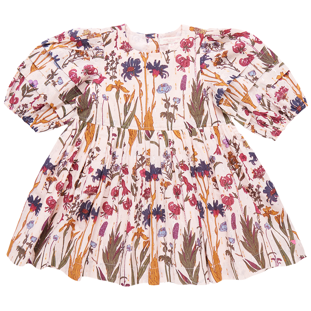 Pink Chicken Brooke Dress in Autumn Flowers (sizes 7-10)